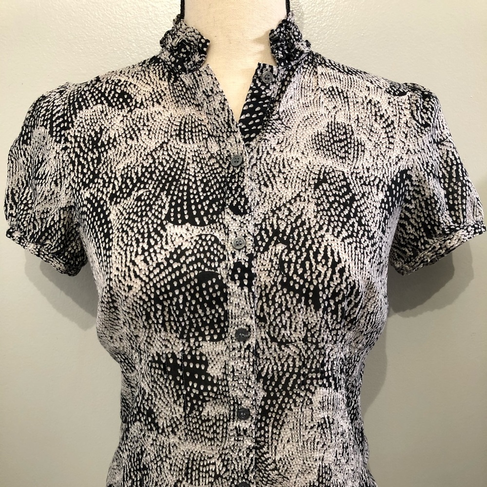 The Limited Blouse